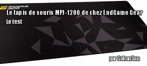 ZeDen teste le tapis de souris MPJ-1200 de chez EndGame Gear