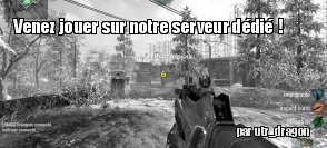 Un serveur Call of Duty : Black Ops sur ZeDen !