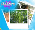 img.zeden.net