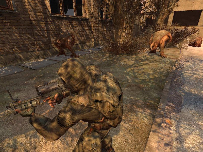 http://www.zeden.net/img/2006-03//stalker_002.jpg