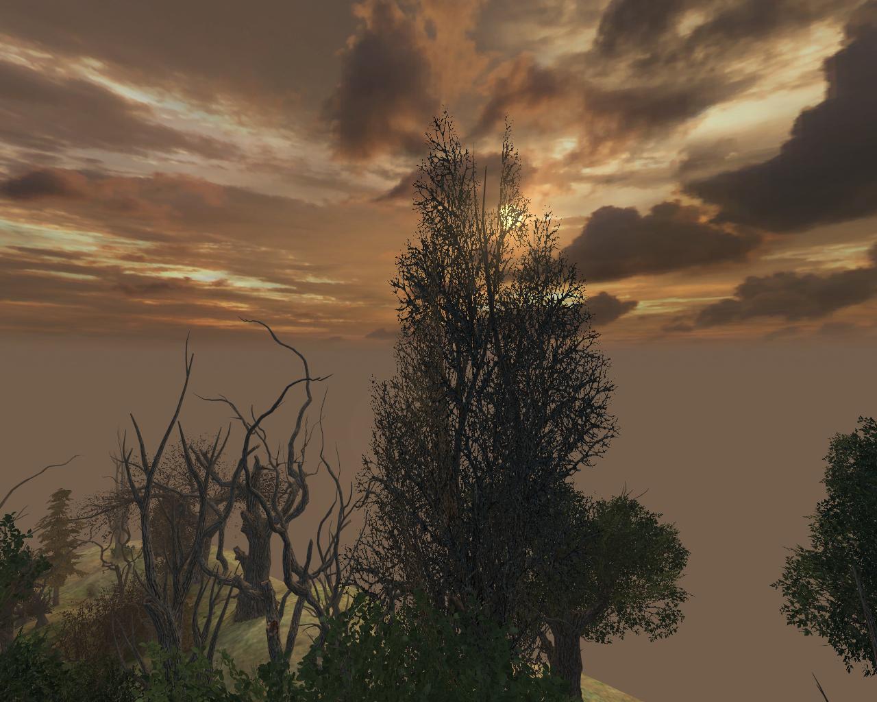 Image d'un jeu FPS