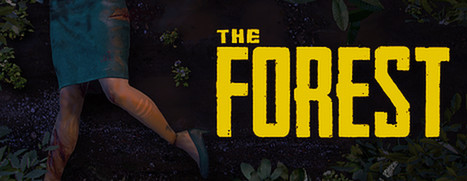 Bote de The Forest