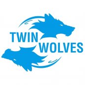 Logo de Twin Wolves Studio