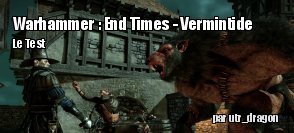 ZeDen teste Warhammer : End Times - Vermintide