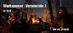 ZeDen teste Warhammer : Vermintide 2