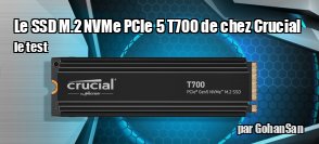 ZeDen teste les SD M.2 NVMe PCIe 5 2 To T700 de chez Crucial