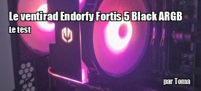 ZeDen teste le ventirad Endorfy Fortis 5 Black ARGB