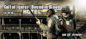 ZeDen teste Call of Juarez : Bound in Blood