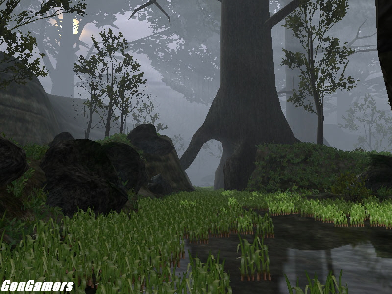 Image d'un jeu FPS