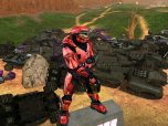 halo_016.jpg