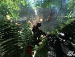 crysis_005.jpg