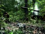 crysis_009.jpg