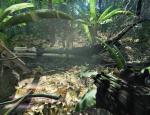 crysis_005.jpg