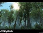 crysis_023.jpg