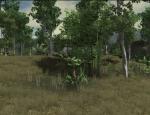 grounchbranch_002.jpg