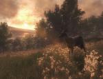thehunter_003.jpg
