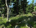 thehunter_005.jpg