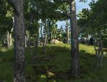 thehunter_006.jpg