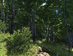 thehunter_007.jpg