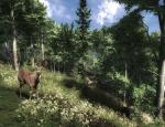 thehunter_010.jpg