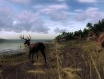 thehunter_012.jpg