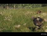 thehunter_001.jpg