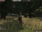 mortalonline_001.jpg