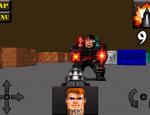 wolfenstein3dclassicplatinum_005.jpg