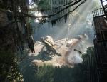 crysis3_004.jpg