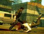 sleepingdogs_005.jpg