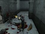 bloodrayne_060.jpg