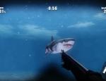 sharkattack_001.jpg