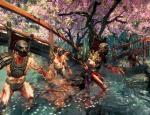 shadowwarrior2013_009.jpg