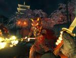 shadowwarrior2013_011.jpg