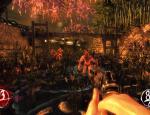 shadowwarrior2013_031.jpg