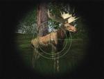 cabelasbiggamehunter6_004.jpg