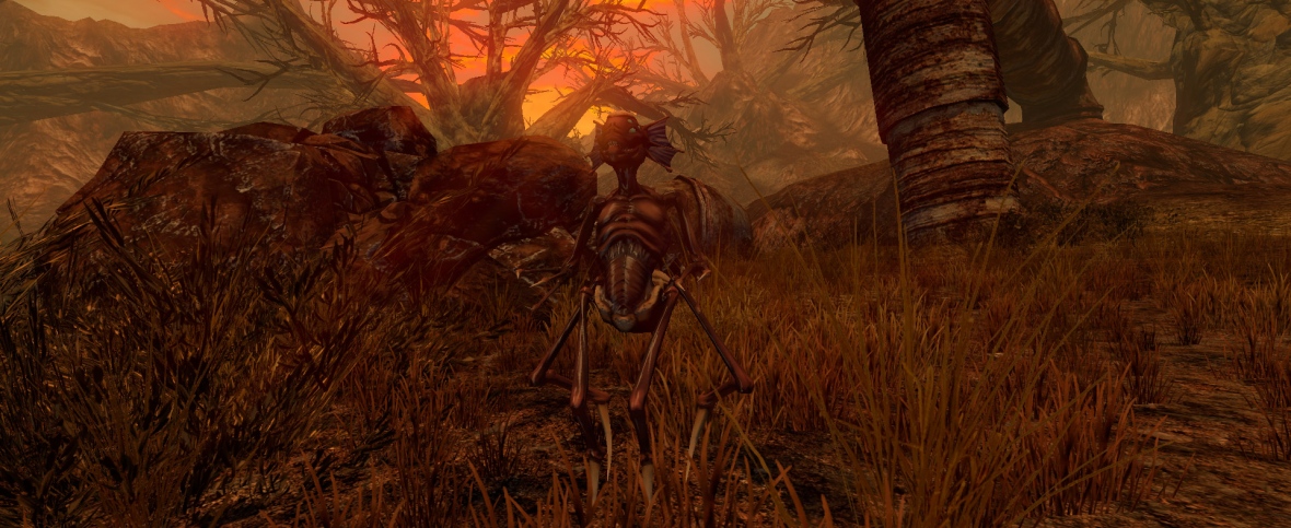 Image d'un jeu FPS