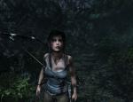 tombraider2013_100.jpg