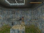 tombraider_018.jpg