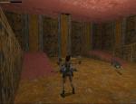 tombraider_050.jpg