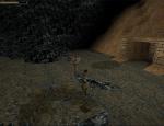 tombraider_053.jpg