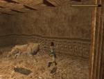 tombraider_071.jpg