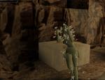 tombraider_081.jpg