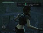 tombraiderlegend_062.jpg