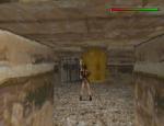 tombraiderii_058.jpg