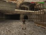 tombraiderii_060.jpg