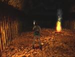 tombraideriiilesaventuresdelaracroft_025.jpg