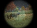 dayz_004.jpg