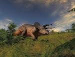 thehunterprimal_009.jpg