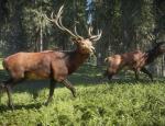 thehuntercallofthewild_001.jpg